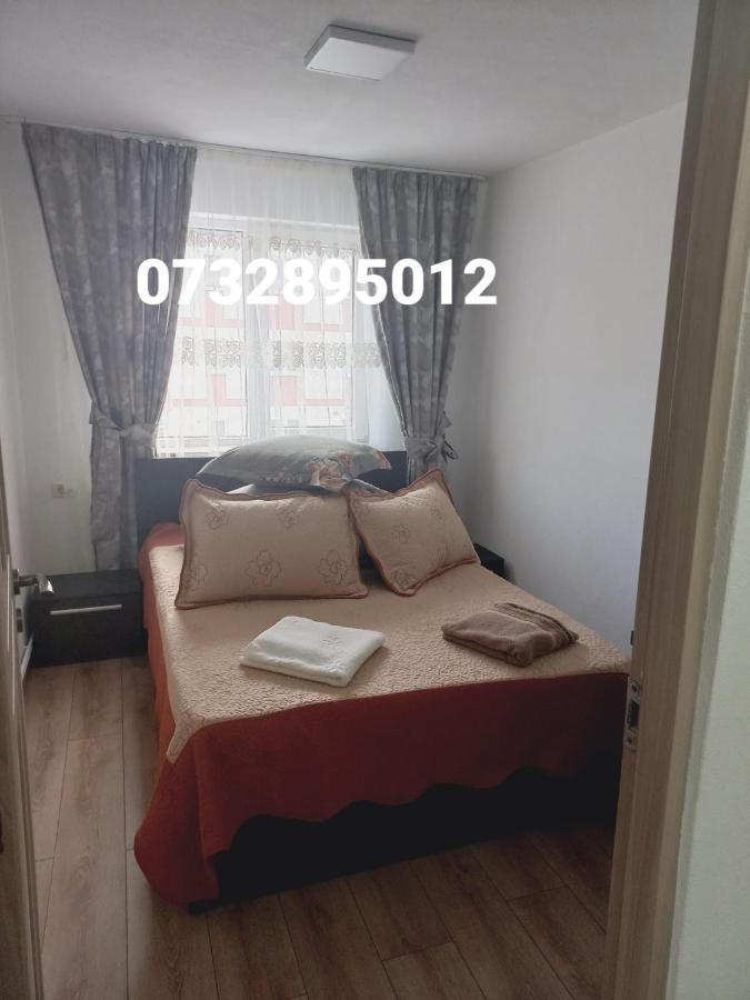 Apartament Bianca Кымпулунг-Молдовенеск Экстерьер фото